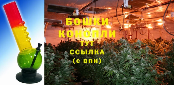 гашик Аркадак