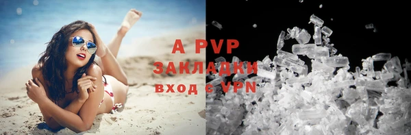 ГАЛЛЮЦИНОГЕННЫЕ ГРИБЫ Арсеньев