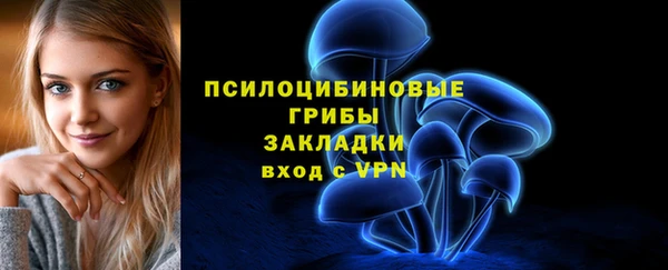 ГАЛЛЮЦИНОГЕННЫЕ ГРИБЫ Арсеньев