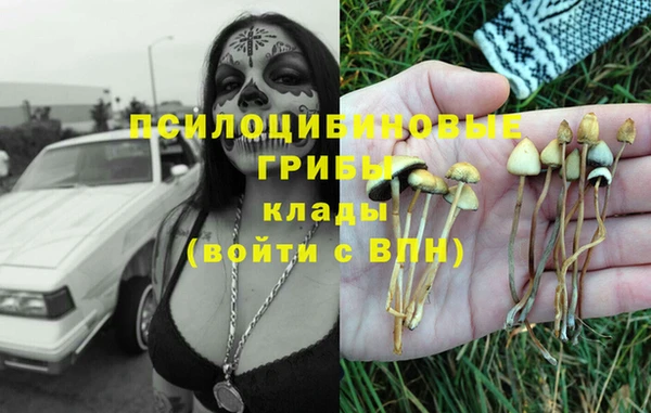 гашик Аркадак