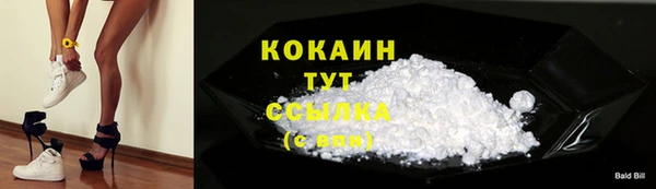 гашик Аркадак