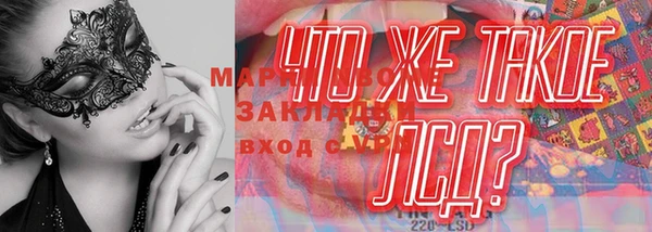 ГАЛЛЮЦИНОГЕННЫЕ ГРИБЫ Арсеньев