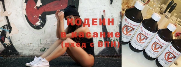 гашик Аркадак