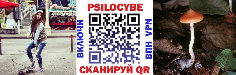 Псилоцибиновые грибы прущие грибы  даркнет сайт  Зеленоградск 